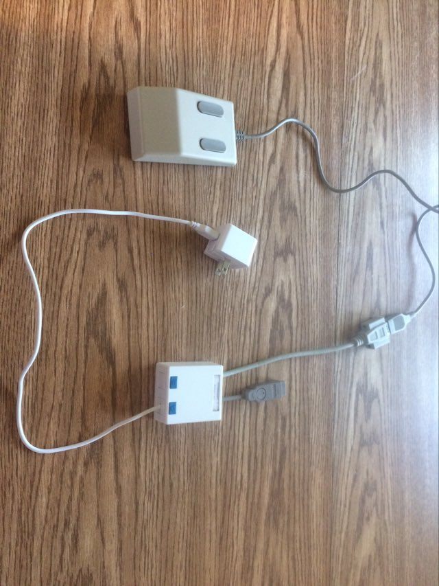 AMouse and Adapter.jpg